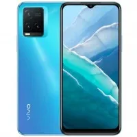 Vivo T1x 4G