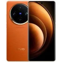 Vivo X100 Pro