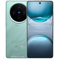 Vivo X100s