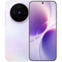 Vivo X300s