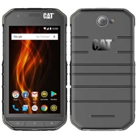 Cat S31